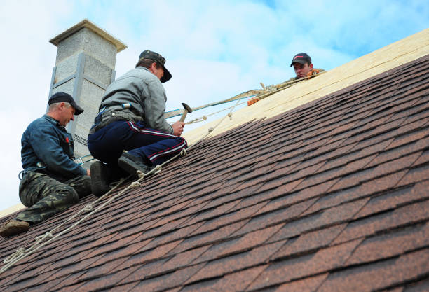 Best Gutter Installation and Roofing  in Wyndham, VA