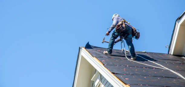 Roof Gutter Cleaning in Wyndham, VA